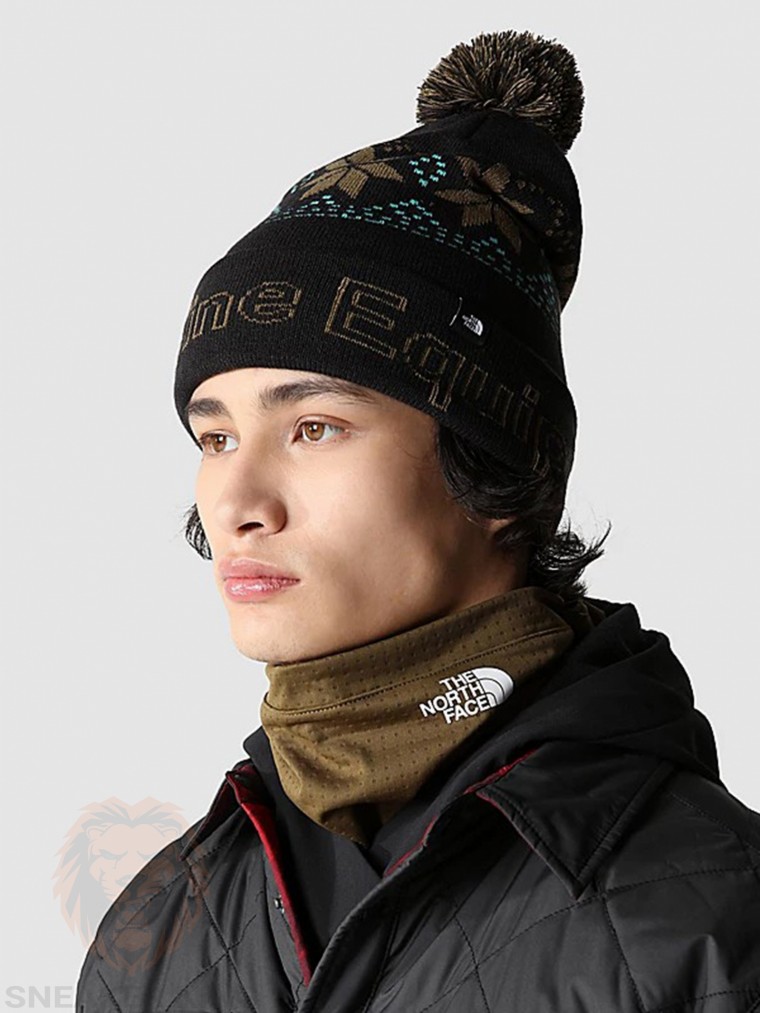 Шапка The North Face Ski tuke hat NF0A4 SIE